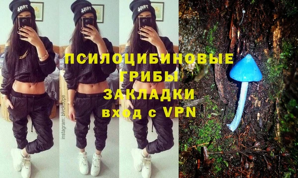 СК Балахна