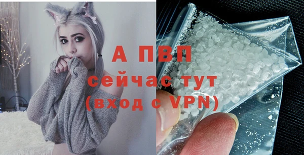 СК Балахна