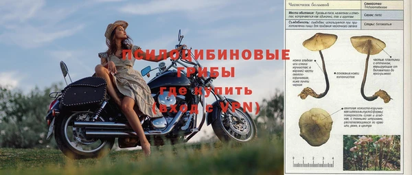 каннабис Баксан