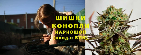 СК Балахна
