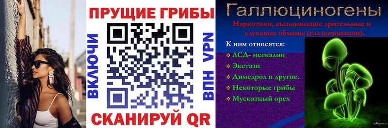 Псилоцибиновые грибы GOLDEN TEACHER  Заинск 